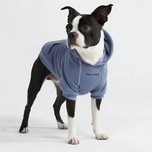 Blue Dog Hoodie by Spark Paws